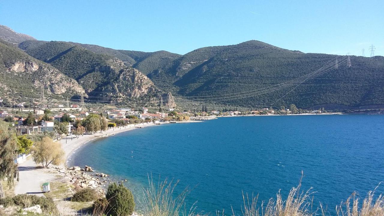 Margherita'S Holidays Home Agios Spyridon  Экстерьер фото