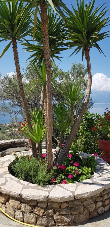 Margherita'S Holidays Home Agios Spyridon  Экстерьер фото